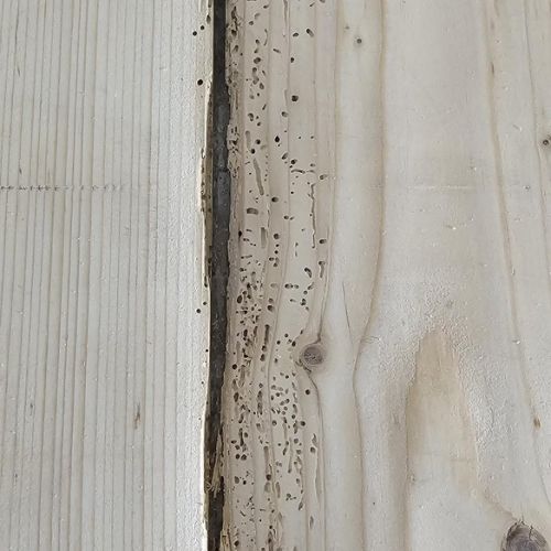 also auch den kompletten Boden vorsorglich mit Holzwurm-Ex bearbeitet.